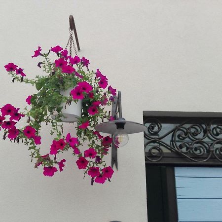 Tambien B&B Pesaro Esterno foto