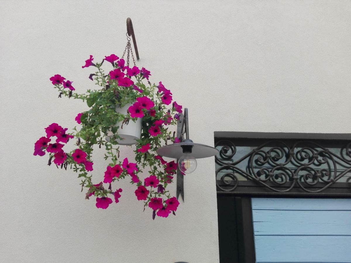 Tambien B&B Pesaro Esterno foto